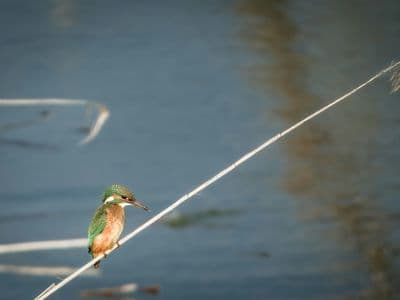 multi-byte hard drive Guide