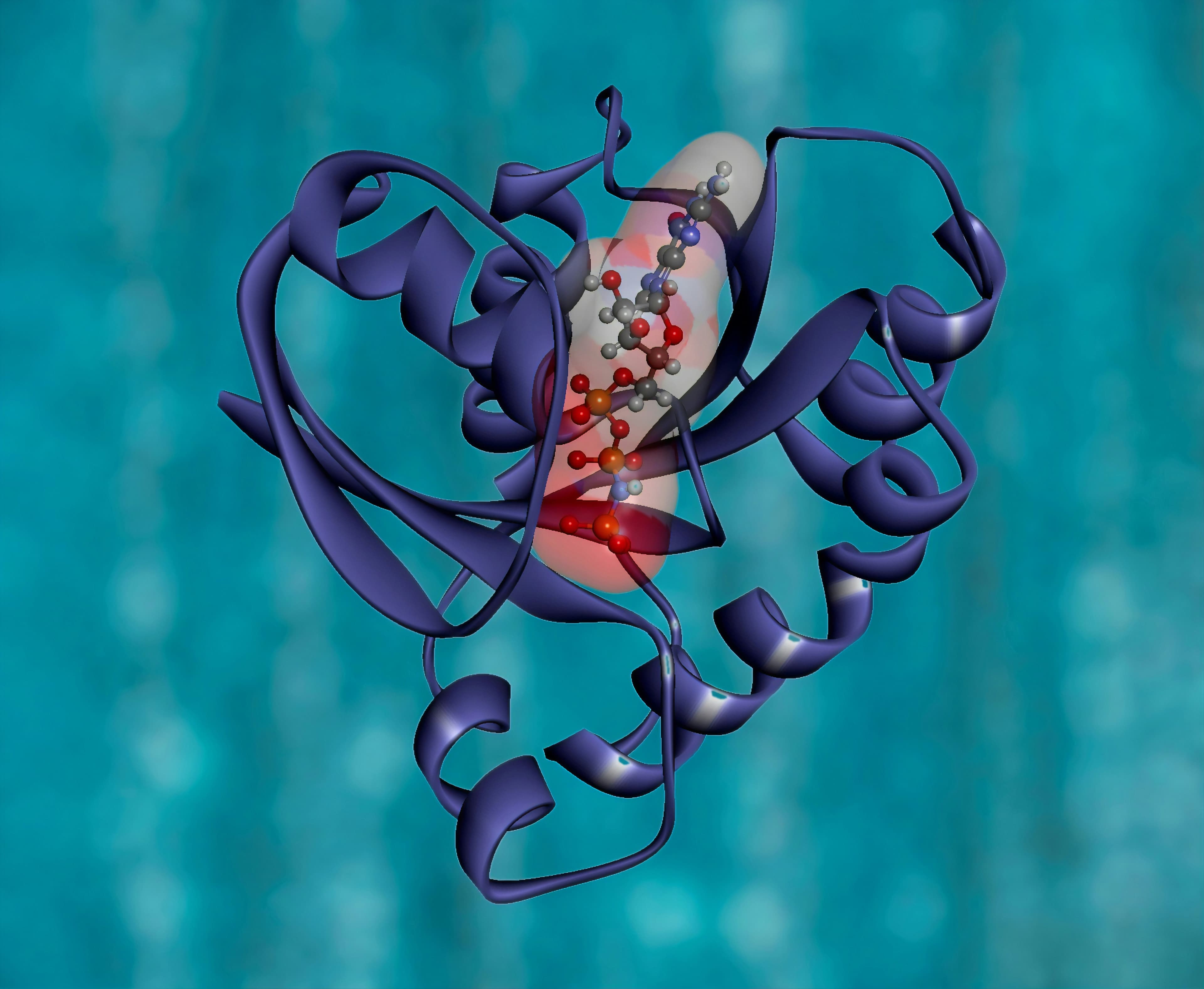 Testing New Features in Code