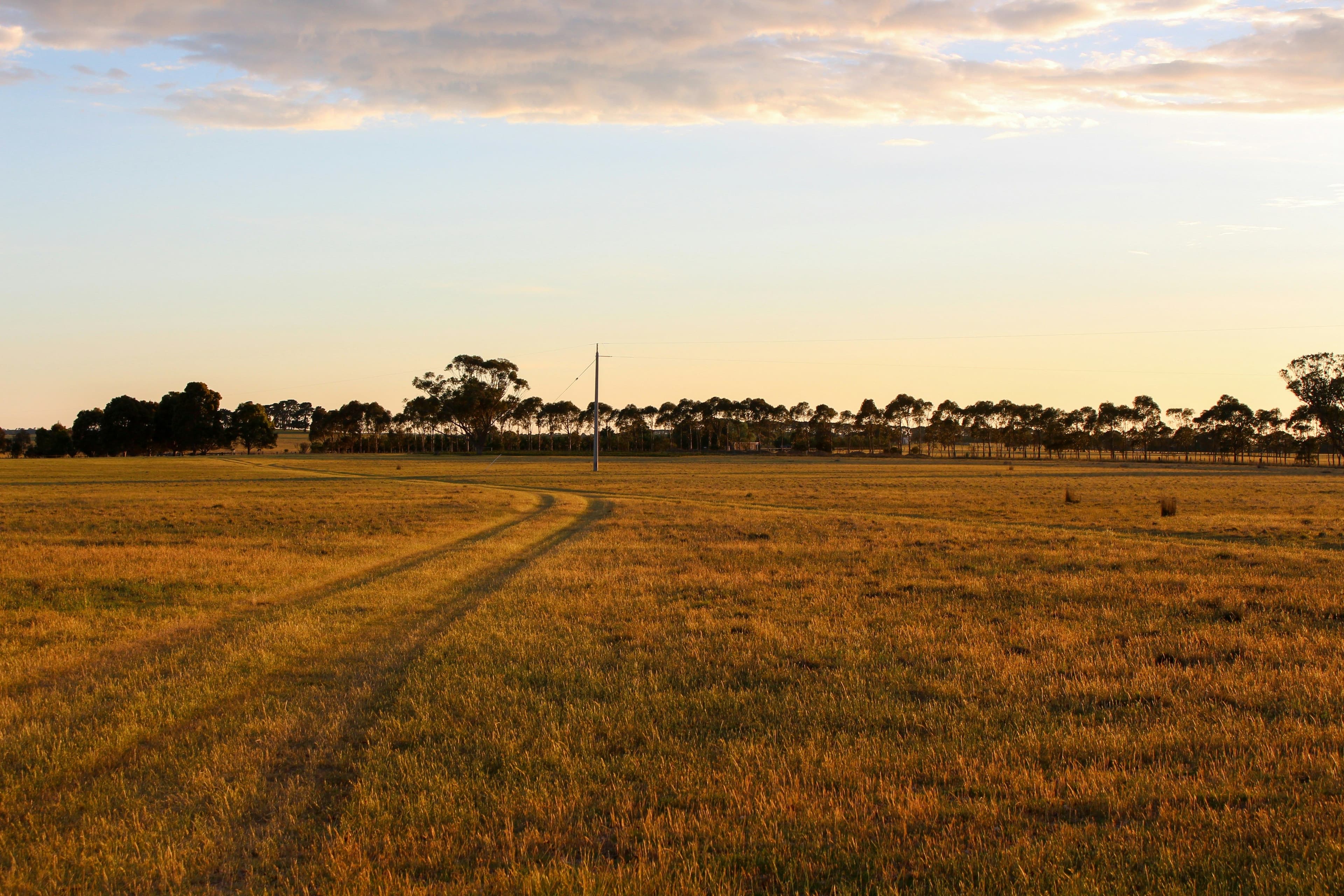 Regenerative Energien - Für Neulinge und Experten gleichermassen